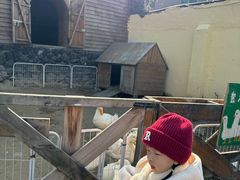 -HERRE·FARM 赫尔露营农场·团建聚会包场