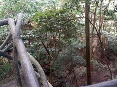 -龙湾潭国家森林公园