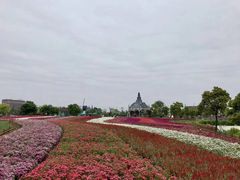 -荷兰花海