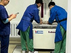 -派美特宠物医院·核磁CT·骨科肿瘤·疑难转诊(沈农禾丰店)