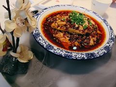 -川味堂·四川豆花(八卦岭店)