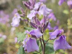 -物美超市(通州梨园店)