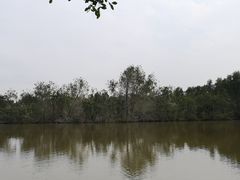 景点-大湾区中央湿地公园