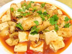 -煲来饱去冷水鱼