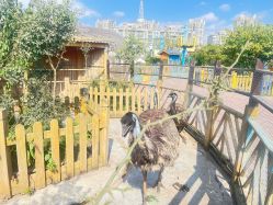 -三分地生态园·儿童乐园