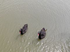 -华东政法大学(松江校区)