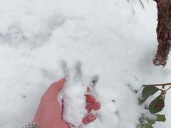 -九峰山