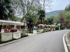 -南京老山国家森林公园