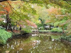 -秋霞圃