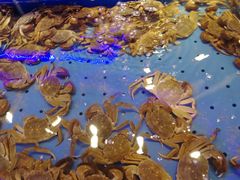 -澜悦港海鲜体验主题餐厅