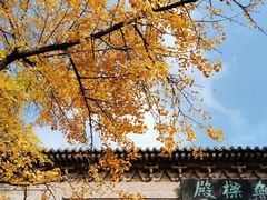 -灵谷景区