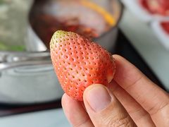 -潮牛禾记•潮汕鲜牛肉火锅(新亚洲店)