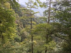 -东天目山风景区