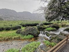 -中国茶叶博物馆(双峰馆区)