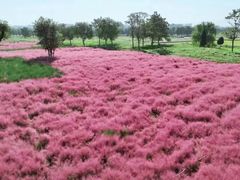 -汉长安城未央宫国家考古遗址公园