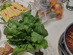 -紫光园(劲松店)