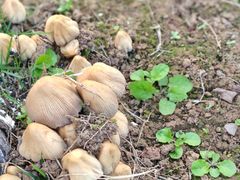 -大龙山(地铁站)