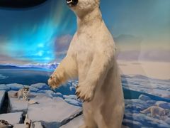 -陕西自然博物馆