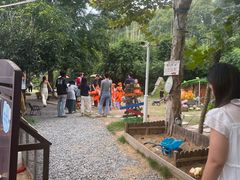 -HERRE·FARM 赫尔露营农场·团建聚会包场