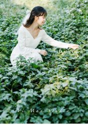 -巴黎婚纱摄影工作室