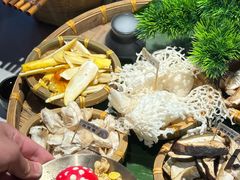-菌彩云南野生菌火锅(呈贡七彩云南第壹城店)