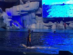 -福州罗源湾海洋世界旅游区