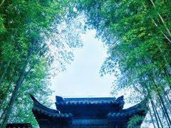 -求雨山文化公园