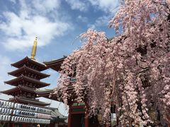 -浅草寺