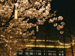 -堤角公园