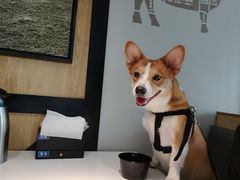 -潮发潮汕牛肉店(龙洞店)