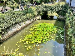 -虎跑公园
