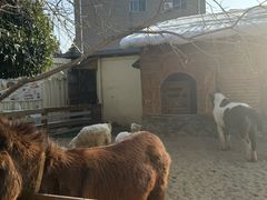 -HERRE·FARM 赫尔露营农场·团建聚会包场