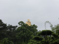 -南山植物园