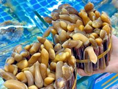 -四川小胡子海鲜(丁村万人海鲜广场店)