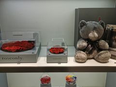 -ROSEONLY诺誓(广州K11店)