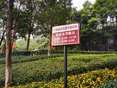 -重庆彩云湖湿地公园