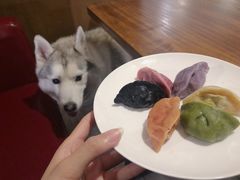 -百好乐宠物友好餐厅(朝外大街店)