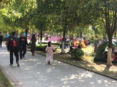 景点-重庆彩云湖湿地公园