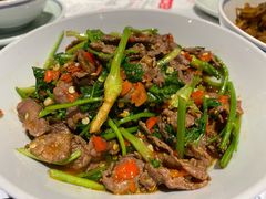 香菜炒牛肉-壹盏灯(蚂蚁工房店)