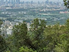 -火炉山森林公园