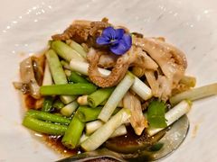 -海派美食·家宴海鲜青岛菜·石锅鲽鱼头(东方城店)