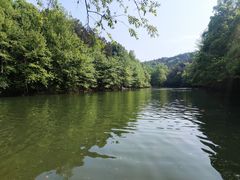 -青龙山国家森林公园