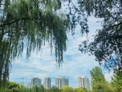 -太阳宫公园