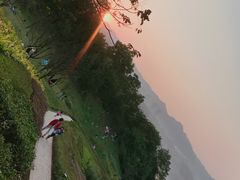 -金海湾滨江公园