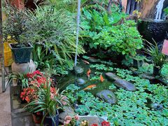 -园林美食城·本土农家菜(杨和镇店)