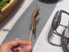 -红鼎豆捞·非遗鲍皇汤火锅(宝丰路店)