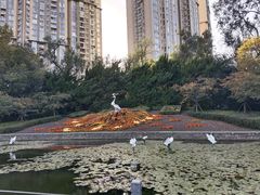 -中山公园
