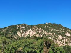 -肯德基(花乡店)