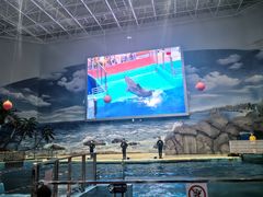 -福州罗源湾海洋世界旅游区