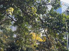 -大妙火锅·非物质文化遗产(东湖公园店)